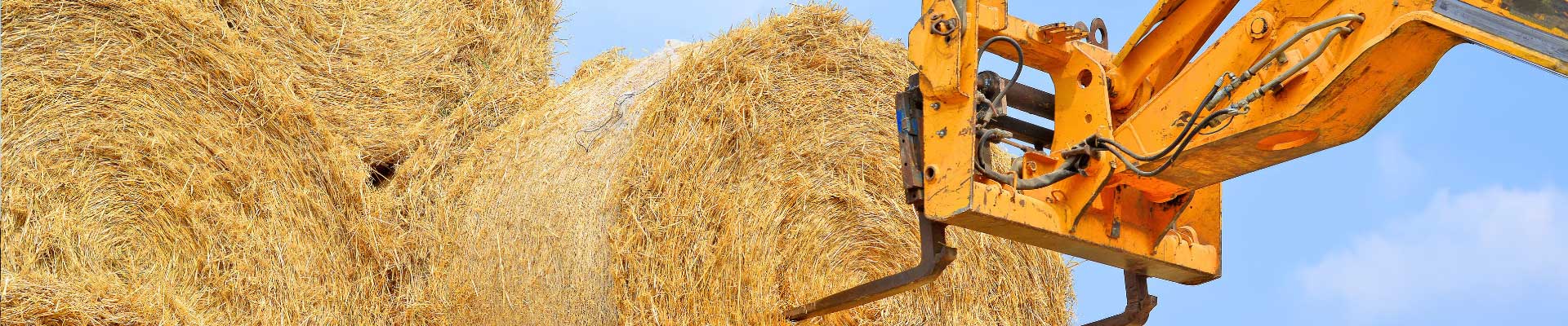 Des télescopiques agricoles multimarques d’occasion chez Tipmat