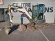 Mini pelle BOBCAT E27Z