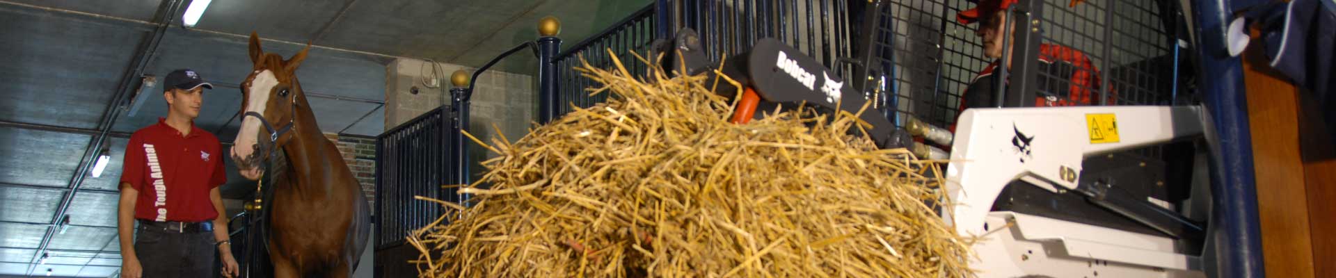 Chargeur agricole sur pneus Bobcat